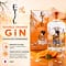 Asahikawa Distillery Etsu Double Orange Gin 0,70 Liter/ 43.0% vol Vorschau