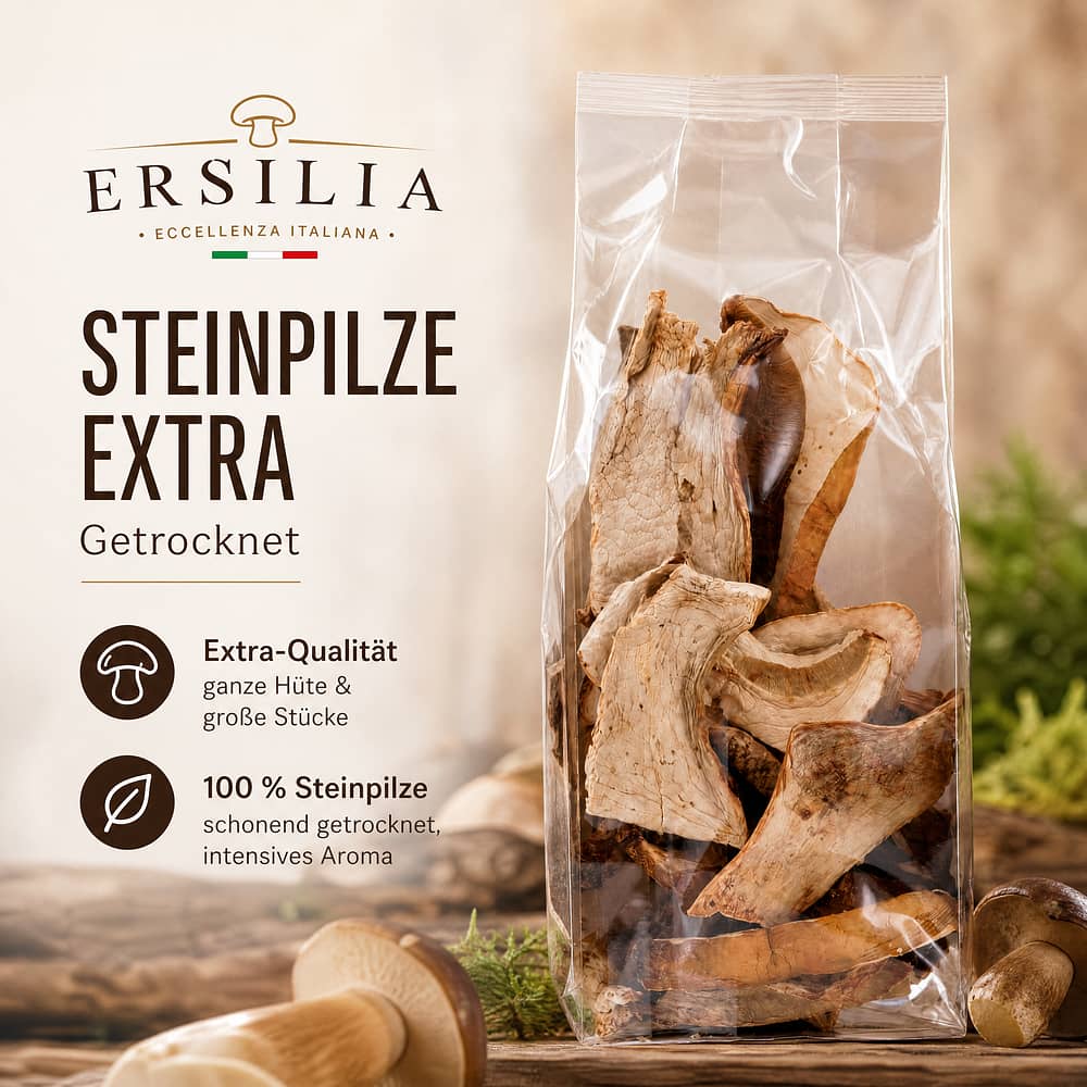 Ersilia Getrocknete Steinpilze Extra 20 Gramm Produktbild
