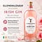 Glendalough Wild Rose Gin 0,70 Liter/ 37.5% vol Vorschau