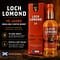 Loch Lomond 10 Jahre 0,70 Liter/ 40.0% vol Vorschau