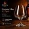 Stölzle Cognac Glas 425 ml 1 Stück Vorschau