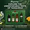 Tanqueray Explore The Unmistakable Taste Of Tanqueray Set beinhaltet 4 Stück je 0,05l 0,20 Liter/ 43.3% vol Vorschau