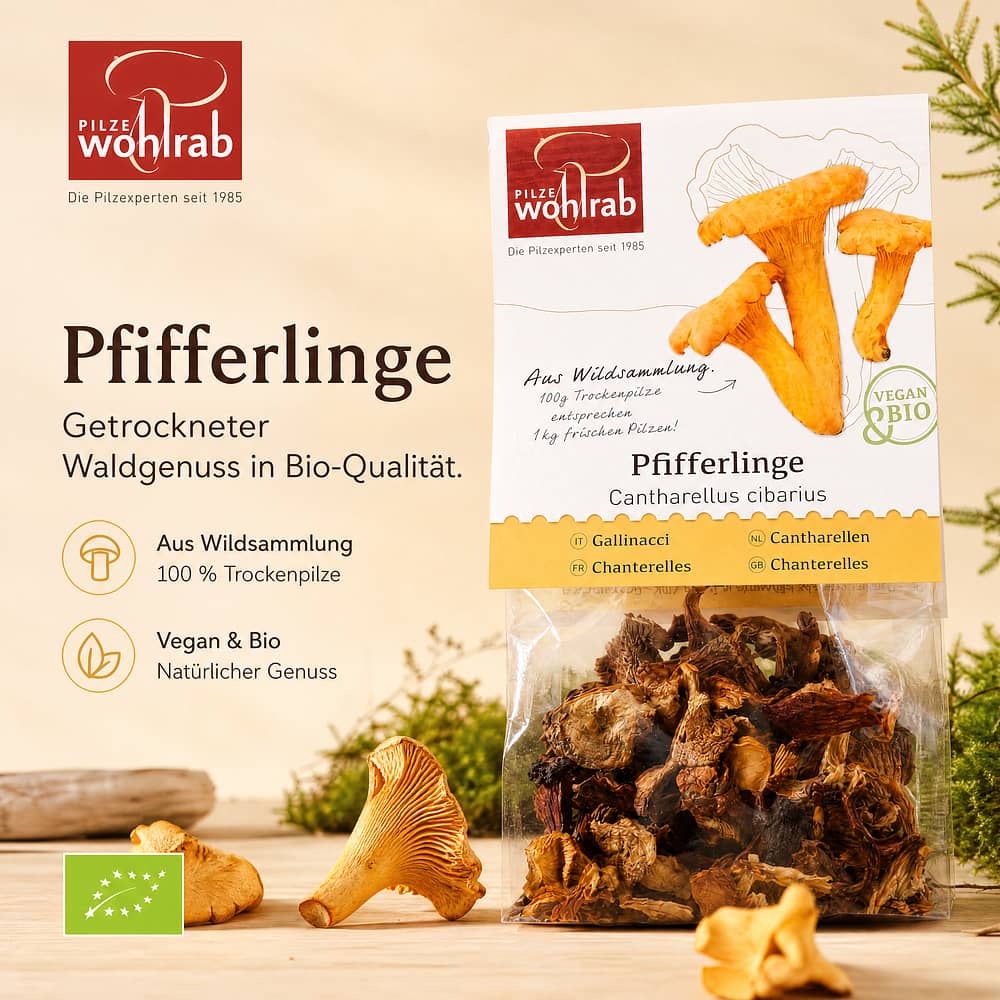 Wohlrab Pilze BIO Pfifferlinge getrocknet 20 Gramm Produktbild