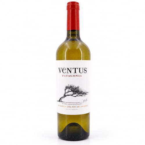 Bodega del Fin del Mundo Ventus White Blend Jahrgang 2022 0,750 Liter/ 13.5% vol Produktbild