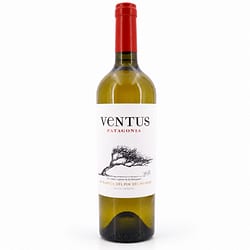 Bodega del Fin del Mundo Ventus White Blend Jahrgang 2022 Produktbild