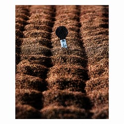 Heinz Fesl Postkarte Bowmore Floor Maltings Produktbild