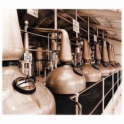 Heinz Fesl Postkarte Laphroaig Stillhouse Produktbild