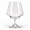 Stölzle Cognac Glas 425 ml 1 Stück Vorschau