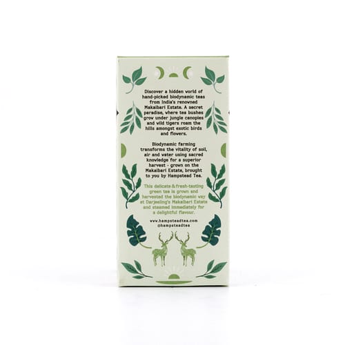 Hampstead Tea BIO Organic Green Tea Clean 20 Teebeutel 40 Gramm Produktbild
