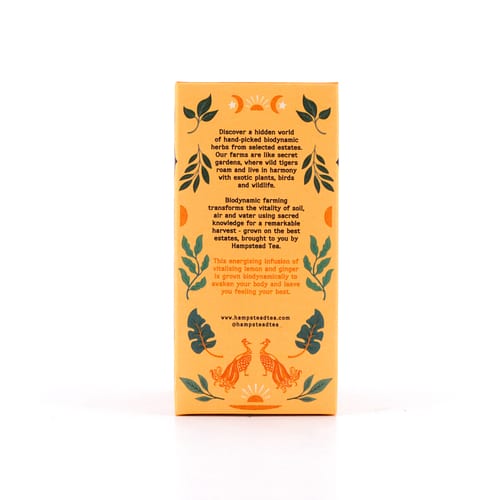Hampstead Tea BIO Organic Lemon Ginger 20 Teebeutel 30 Gramm Produktbild