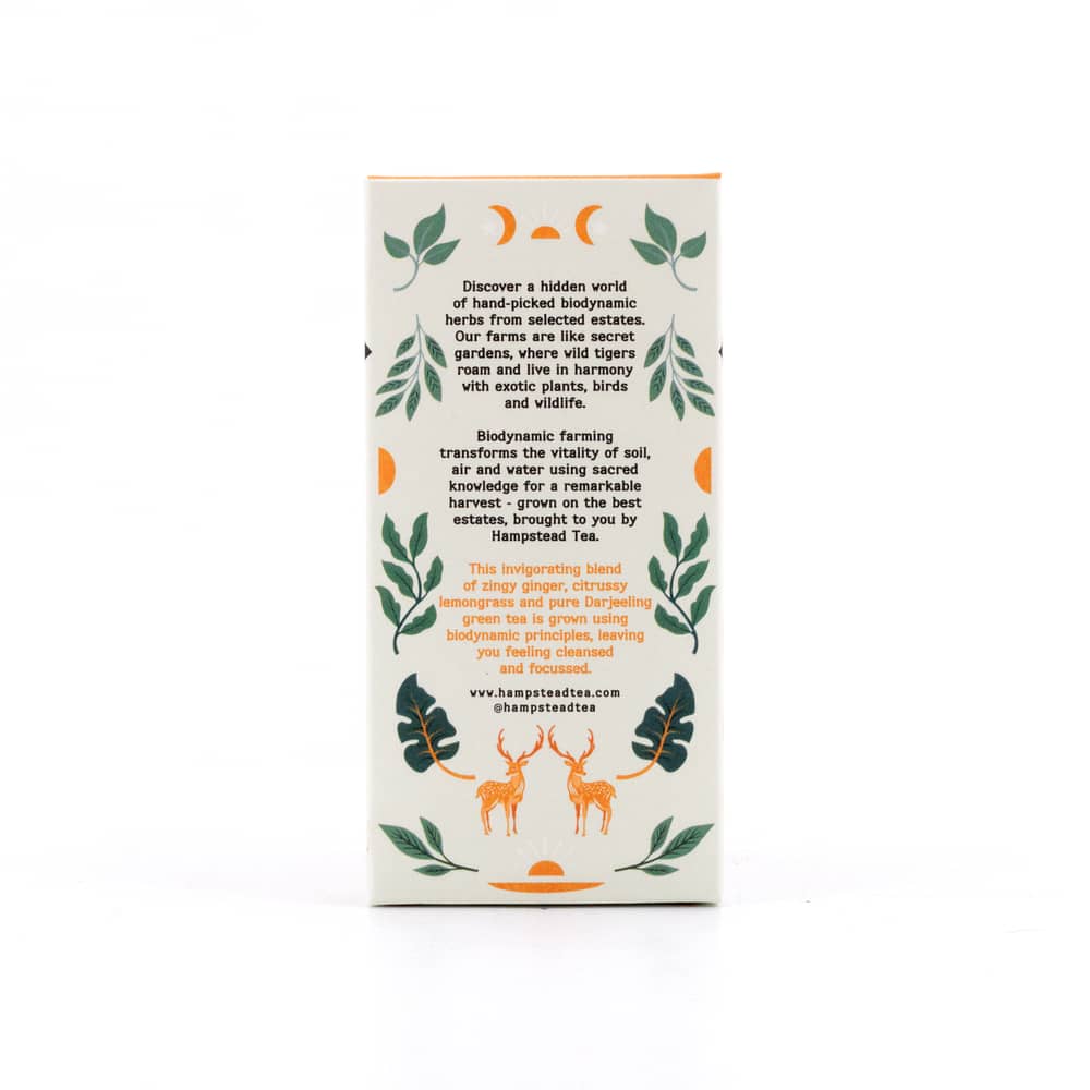 Hampstead Tea BIO Organic Zesty Ginger Green Tea 20 Teebeutel 40 Gramm Produktbild