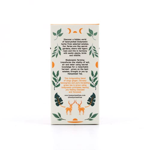 Hampstead Tea BIO Organic Zesty Ginger Green Tea 20 Teebeutel 40 Gramm Produktbild