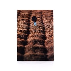 Heinz Fesl Postkarte Bowmore Floor Maltings Produktbild