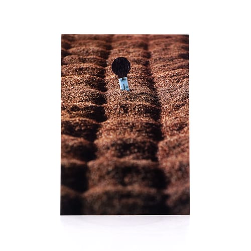 Heinz Fesl Postkarte Bowmore Floor Maltings 1 Stück Produktbild