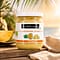 La Délicieuse Ananas & Kokos Aufstrich BIO 180 Gramm Vorschau