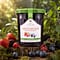 Maison Francis Miot Fruits Des Bois Waldbeeren 320 Gramm Vorschau